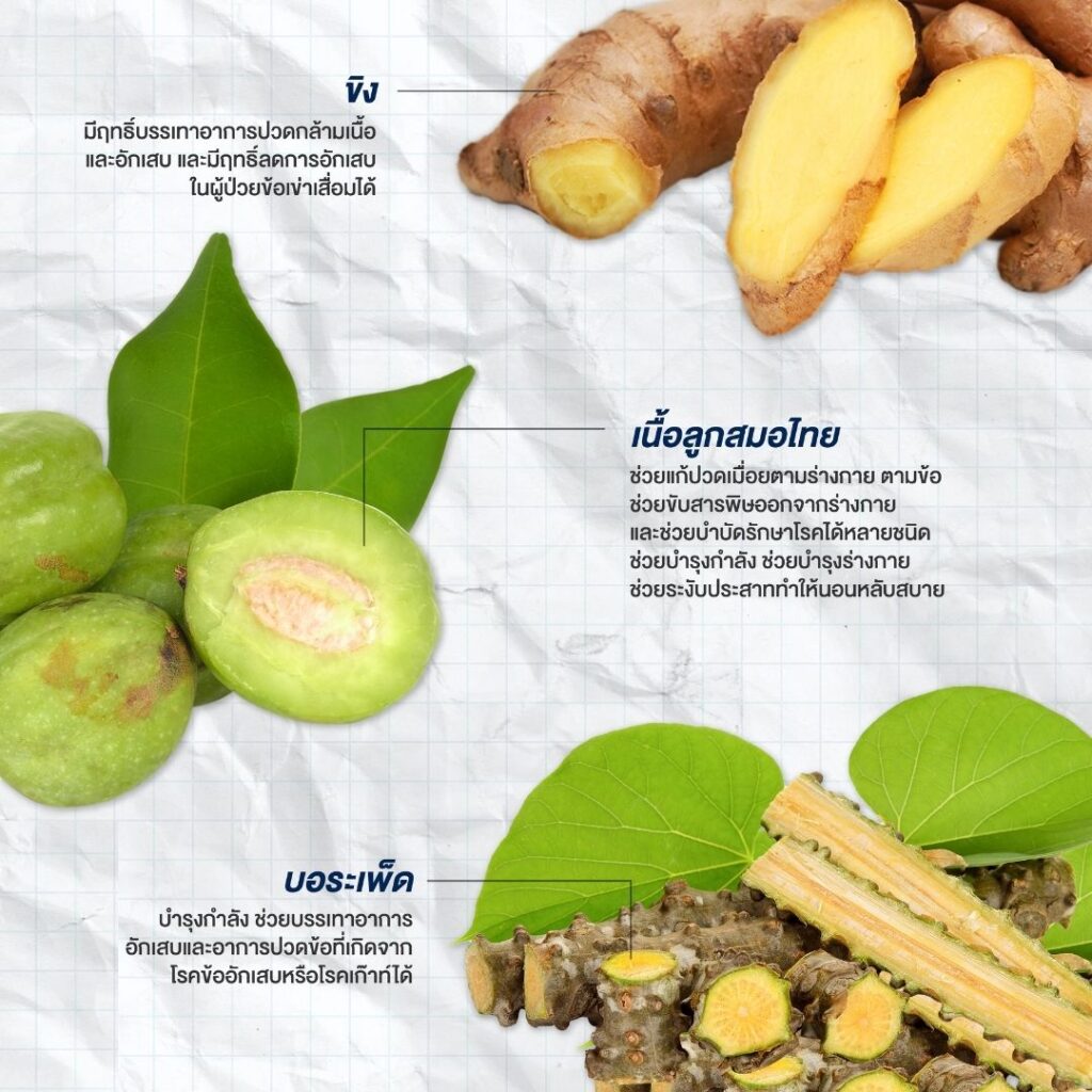 รูมาตอยด์ โรครูมาตอยด์ โรคเกาต์ ข้อเข่าเสื่อม (12)