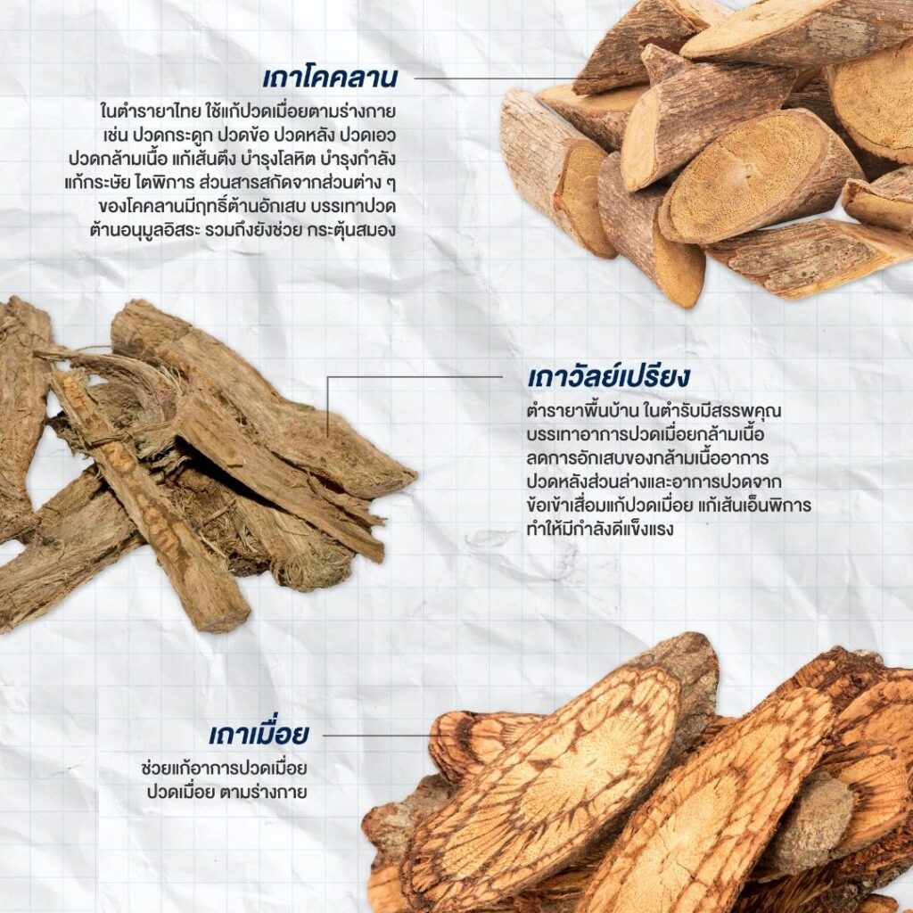 รูมาตอยด์ โรครูมาตอยด์ โรคเกาต์ ข้อเข่าเสื่อม (9)